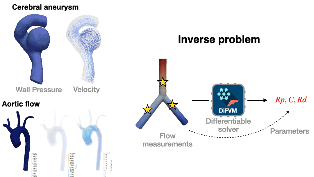 Differentiable fluid simulation
