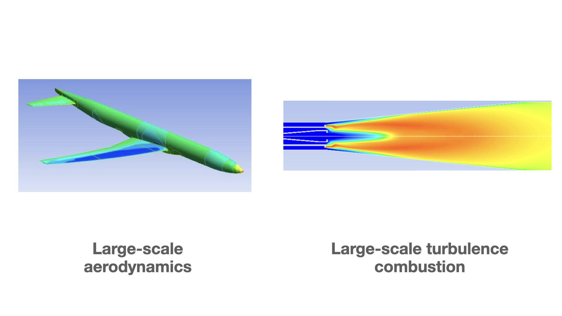 Large-scale computational physics